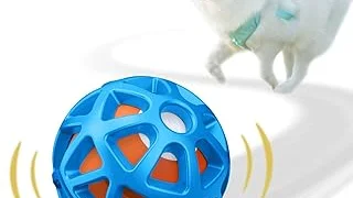 Best Selling 5 Dog Training Toys